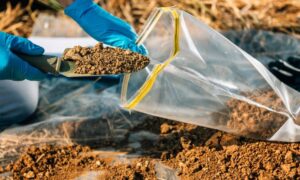 technician collecting a soil sample for construction site testing