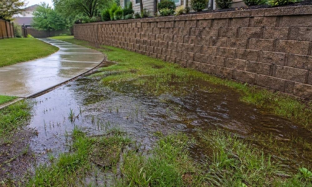 Water pooling in a backyard next to a retaining wall after rain
